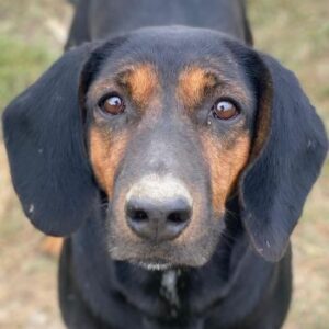 Priska – geb. ca. 08/2021