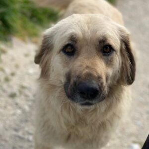 Hermine Granger – geb. ca. 12/2023