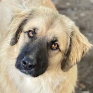 Malou – geb. ca. 04/2024