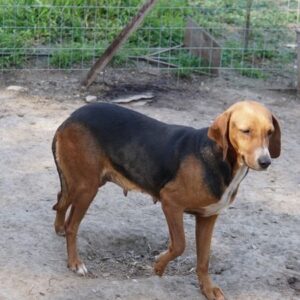 Imelda – geb. ca. 11/2021