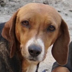 Imelda – geb. ca. 11/2021