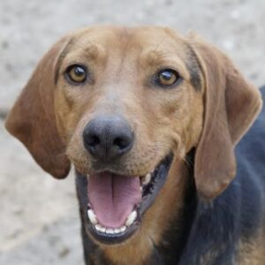 Ted – geb. ca. 01/2023