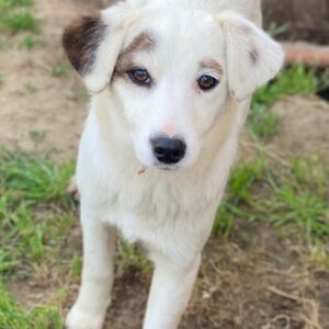 Cloud – geb. ca. 09/2024