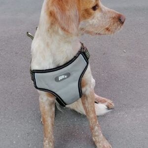 Hugo – geb. ca. 04/2024