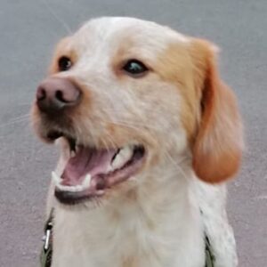 Hugo – geb. ca. 04/2024