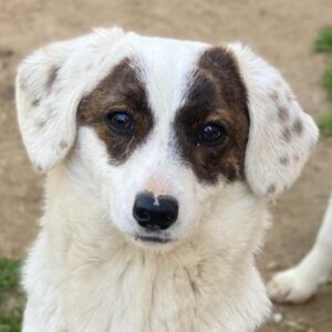 Jetty – geb. ca. 09/2024