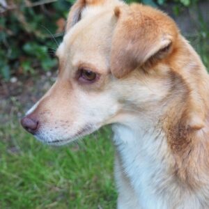 Maria –  geb. ca. 04/2023 – 23843 Bad Oldesloe