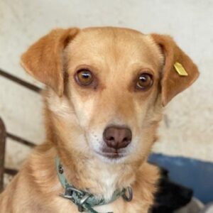 Maria –  geb. ca. 04/2023 – 23843 Bad Oldesloe