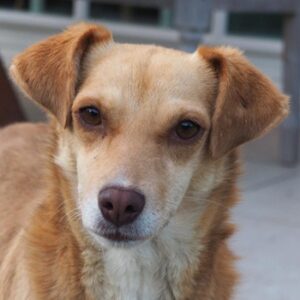 Maria –  geb. ca. 04/2023 – 23843 Bad Oldesloe