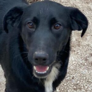 Alon – geb. ca. 02/2025