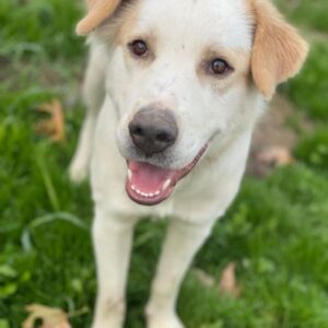 Malu – geb. ca. 07/2024