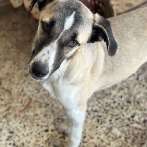 Mia-Melina – geb. ca. 02/2025