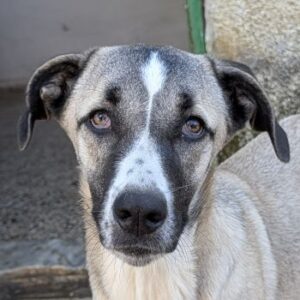 Mia-Melina – geb. ca. 02/2025