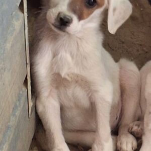 Reela – geb. ca. 02/2025