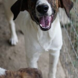 Ubena – geb. ca. 02/2025