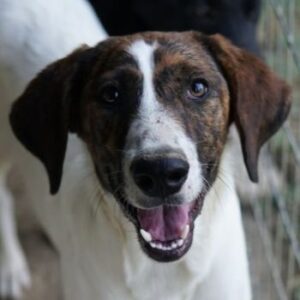 Ubena – geb. ca. 02/2025