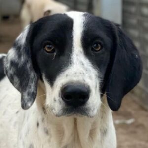 Utha – geb. ca. 02/2025