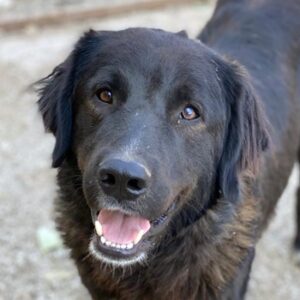 Jette – geb. ca. 01/2024