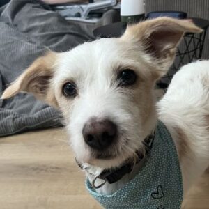 Frex – geb. ca. 07/2022 – 52064 Aachen