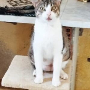 Liane – geb. ca. 08/2024