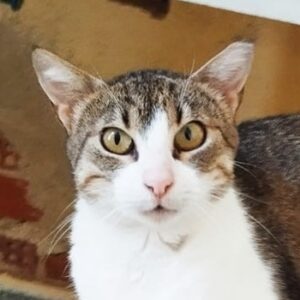 Liane – geb. ca. 08/2024