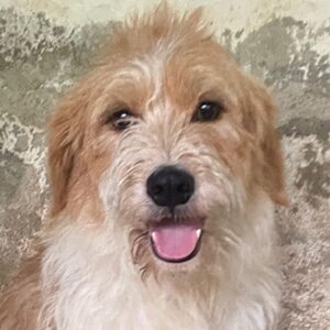 Damian – geb. ca. 01/2023