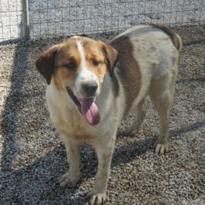 Florin – geb. ca. 05/2025
