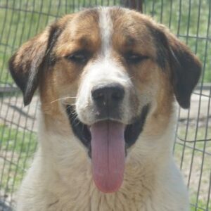 Florin – geb. ca. 05/2025