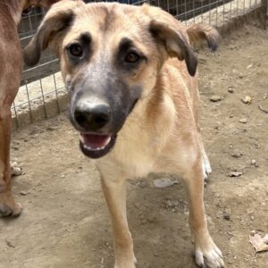 Heraya – geb. ca. 02/2025
