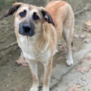 Heraya – geb. ca. 02/2025