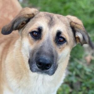 Heraya – geb. ca. 02/2025