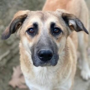 Heraya – geb. ca. 02/2025