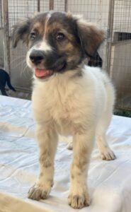 Ludmilla – geb. ca. 05/2025
