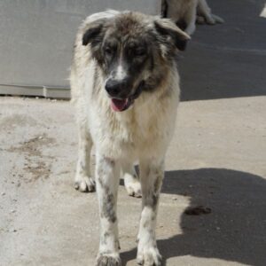 Ludmilla – geb. ca. 05/2025