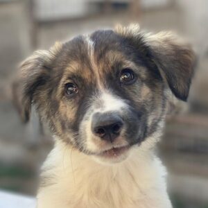 Ludmilla – geb. ca. 05/2025