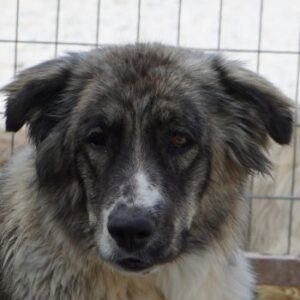 Ludmilla – geb. ca. 05/2025