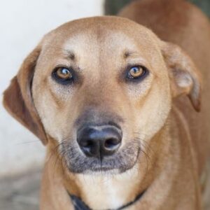 Luke – geb. ca. 02/2025