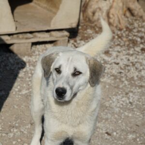 Maliya – geb. ca. 04/2025