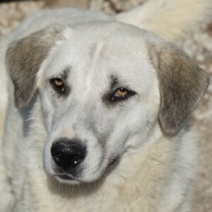 Maliya – geb. ca. 04/2025