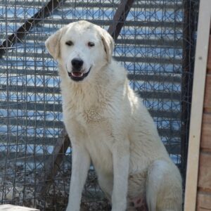 Navid – geb. ca. 04/2025
