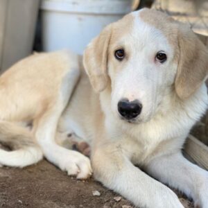 Navid – geb. ca. 04/2025