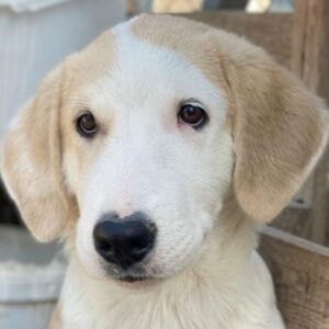 Navid – geb. ca. 04/2025