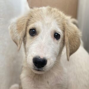 Navid – geb. ca. 04/2025