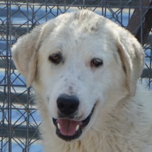 Navid – geb. ca. 04/2025