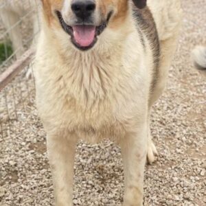 Trine – geb. ca. 05/2025