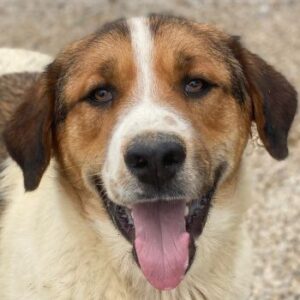 Trine – geb. ca. 05/2025