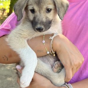 Livia – geb. ca. 06/2025