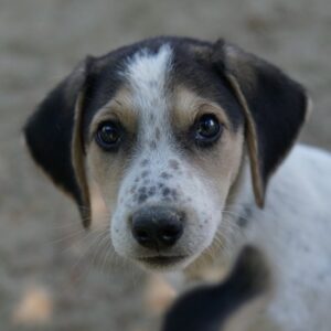 River – geb. ca. 06/2025