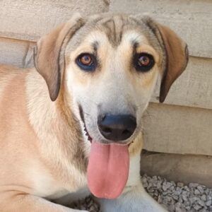 Angeliki – geb. ca. 12/2024