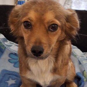 Ardyn – geb. ca. 04/2024